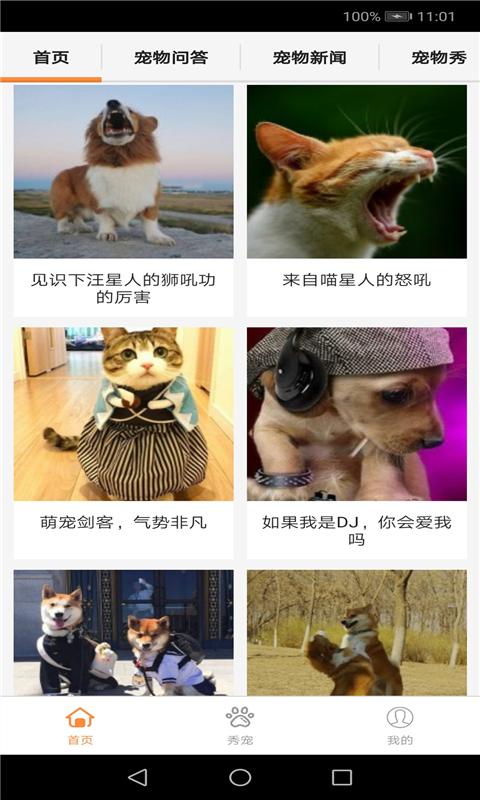 bodog博狗