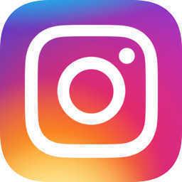 instagram安卓版245.0