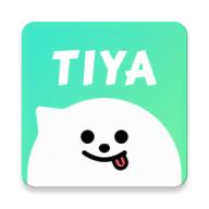 Tiya语音