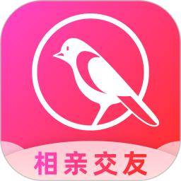 鹊桥软件