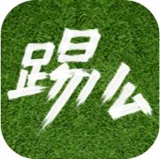 踢么(约人踢球)