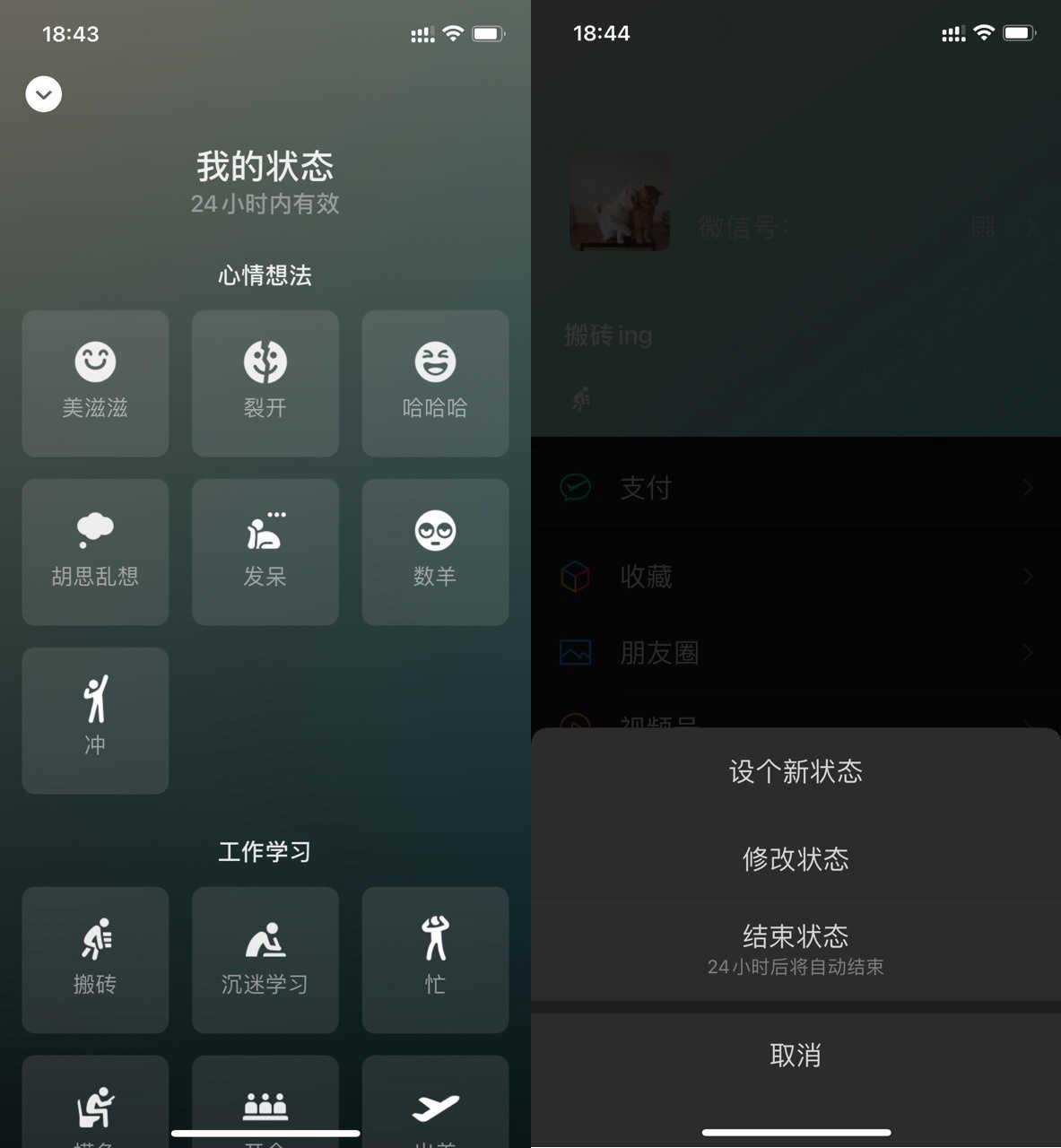 微信8.0.68.0.6