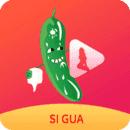丝瓜视频鸭脖视频小猪视频app