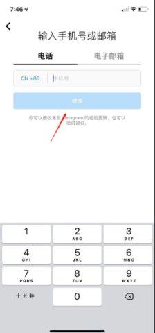 insgream 203.0.0.29 最新版