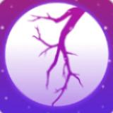 夜月直播版免费视频app