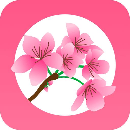 桃缘交友软件
