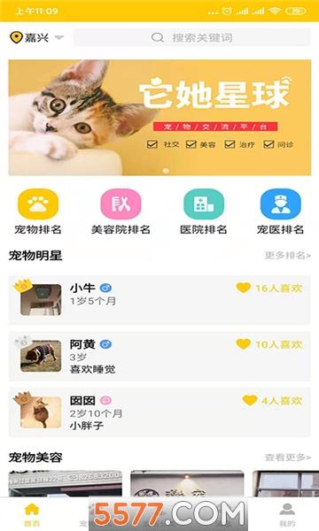 它她星球宠物社区