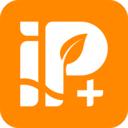 IP家