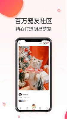 相宠app