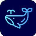 小鲸歌app 1.1.3 安卓版