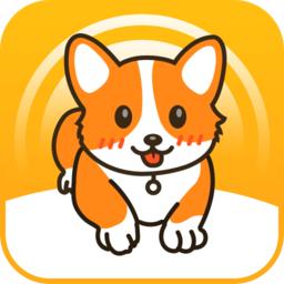爱宠圈最新版