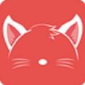 猫耳陪玩app