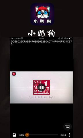 小奶狗抖音app