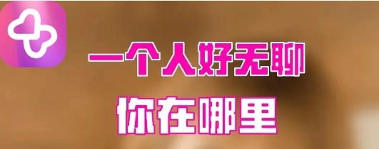 心桥交友软件