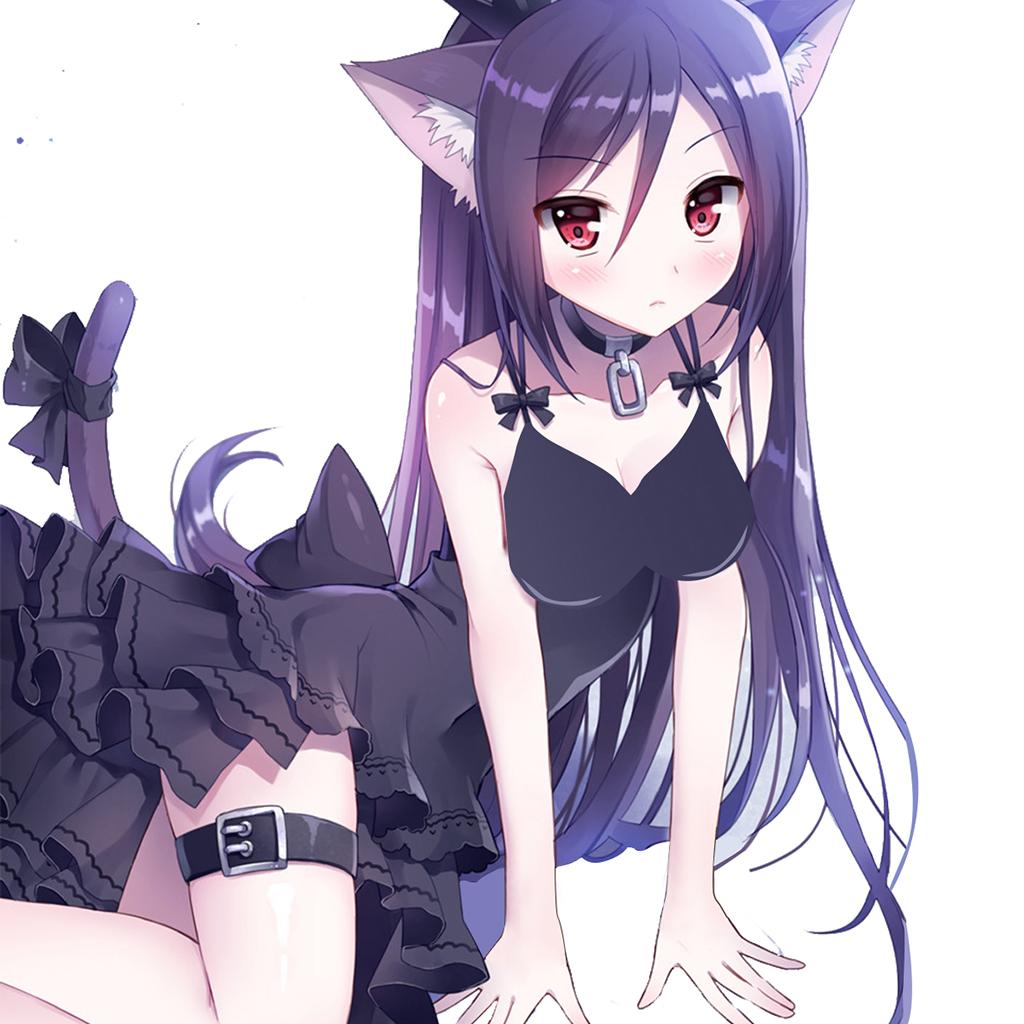 无秘圈App 1.0.0 安卓版