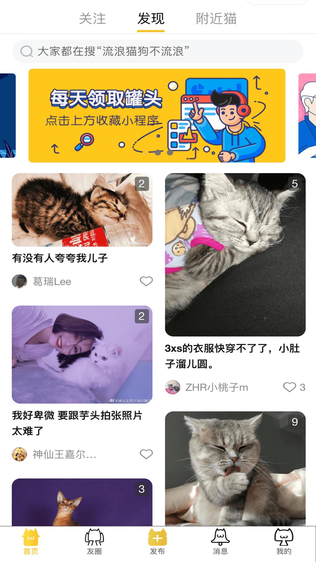 友猫(宠物猫社交)