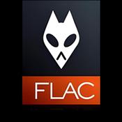 FLAC音乐播放器