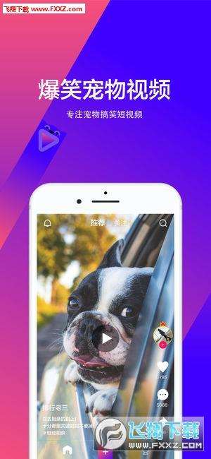 宠音短视频app