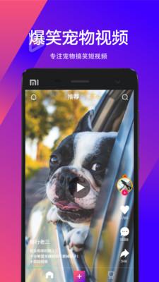 宠音短视频app