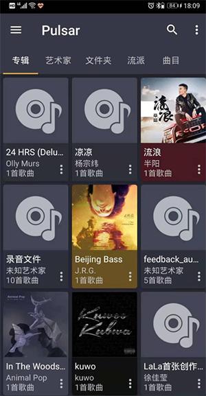 Pulsar播放器专业版下载免费版-Pulsar音乐播放器高级版专业版下载最新版v1.12.8